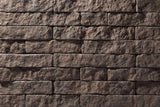 Evolve Stone District View Non-Fire Rated, Interior and Exterior Mortarless Stone Veneer